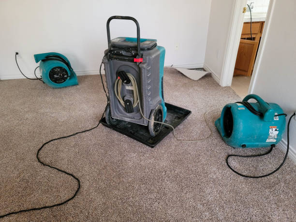Best 24-hour water damage restoration  in Waco, TX