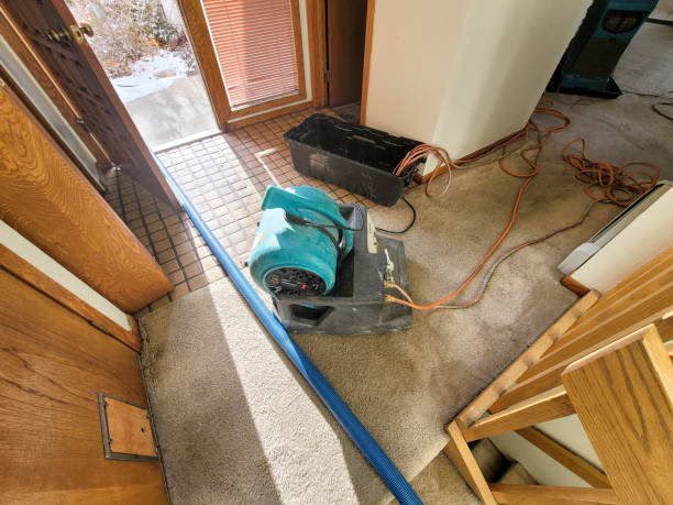 Best Residential water damage restoration  in Waco, TX
