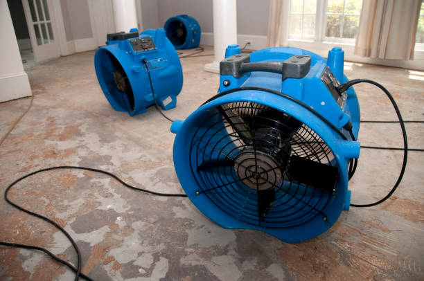 Best Basement water damage restoration  in Waco, TX